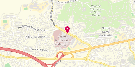 Plan de BARRAL Cécilia, 3 Boulevard des Rayettes, 13698 Martigues