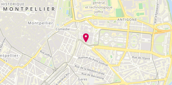 Plan de SINA-PUCHE Dominique, 265 Avenue des États du Languedoc, 34000 Montpellier