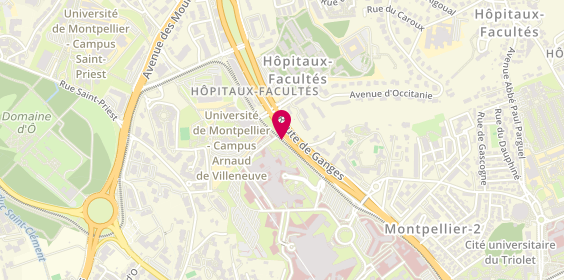 Plan de DERUELLE Philippe, 371 Avenue du Doyen Gaston Giraud, 34295 Montpellier