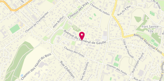 Plan de SCM Medicale des Erables, 36 Avenue General de Gaulle, 69110 Sainte-Foy-lès-Lyon