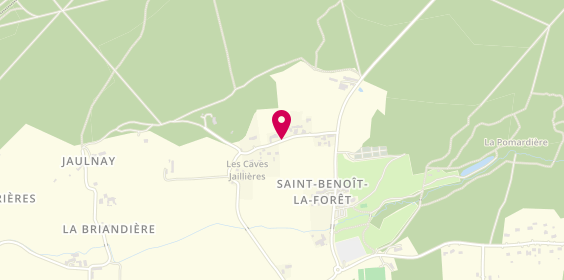 Plan de GUYOUX Estelle, 28 Route Departementale 751, 37500 Saint-Benoît-la-Forêt