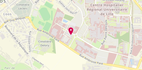 Plan de DEBAIN Laure, Avenue Eugène Avinée, 59037 Lille